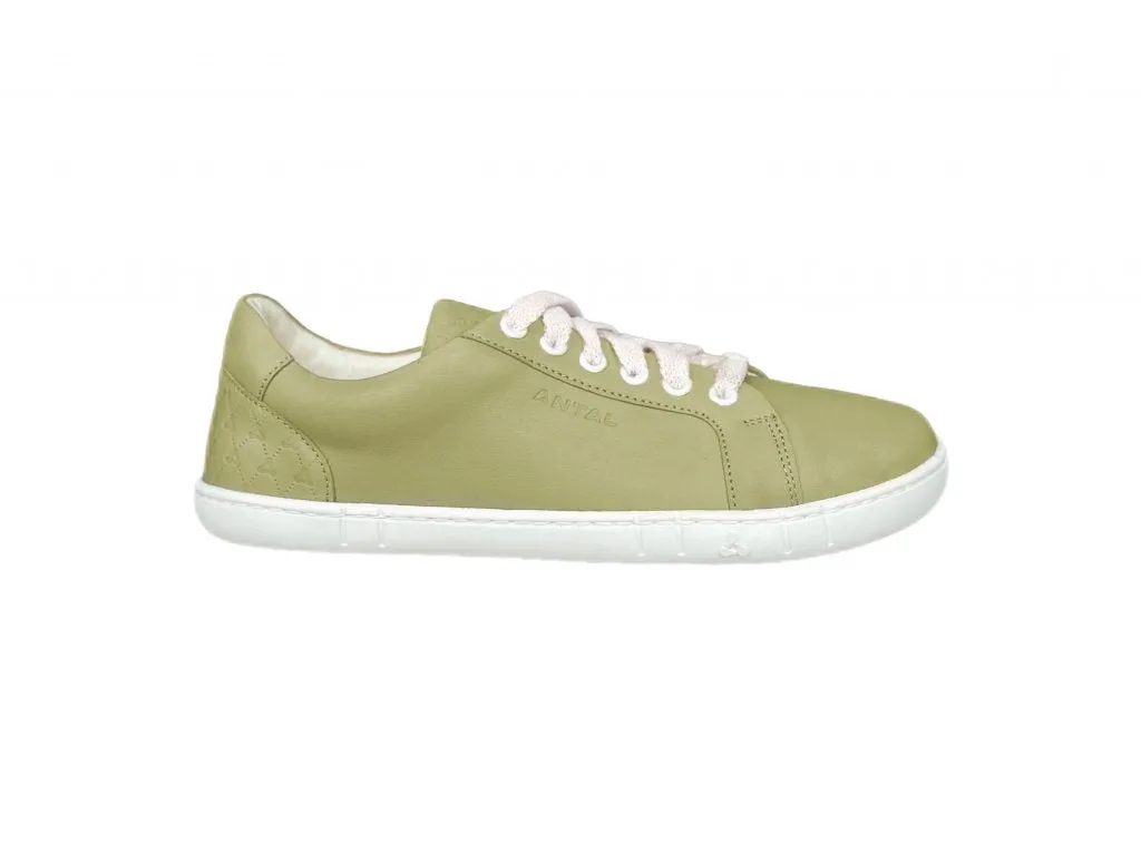 ANTAL  AMADA TEA GREEN  DEPORTIVAS BAREFOOT
