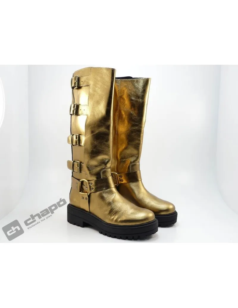 Botas Oro  Motera