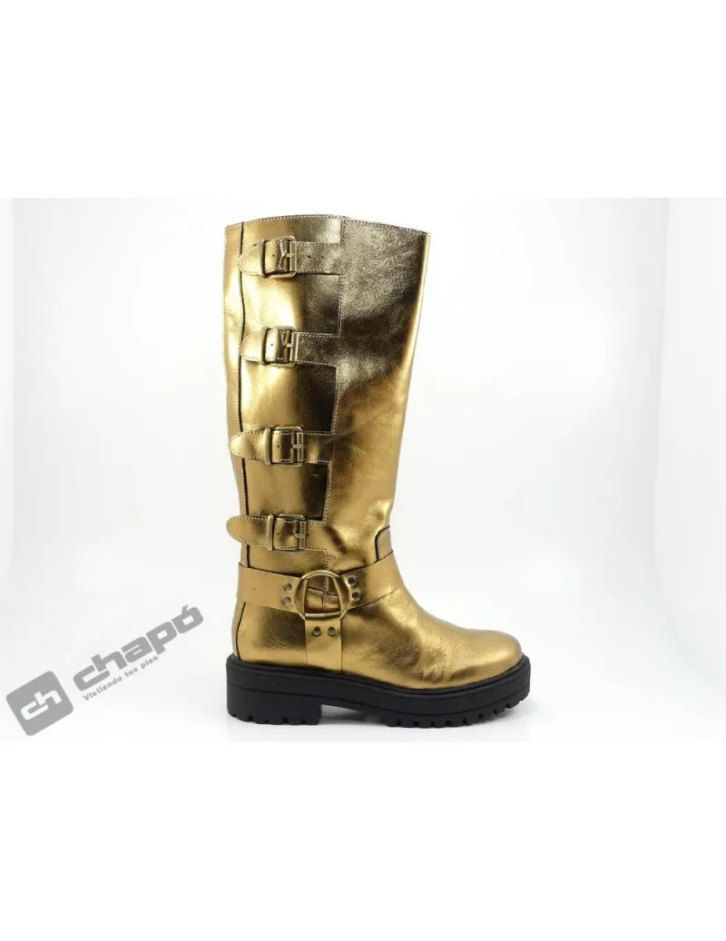 Botas Oro  Motera