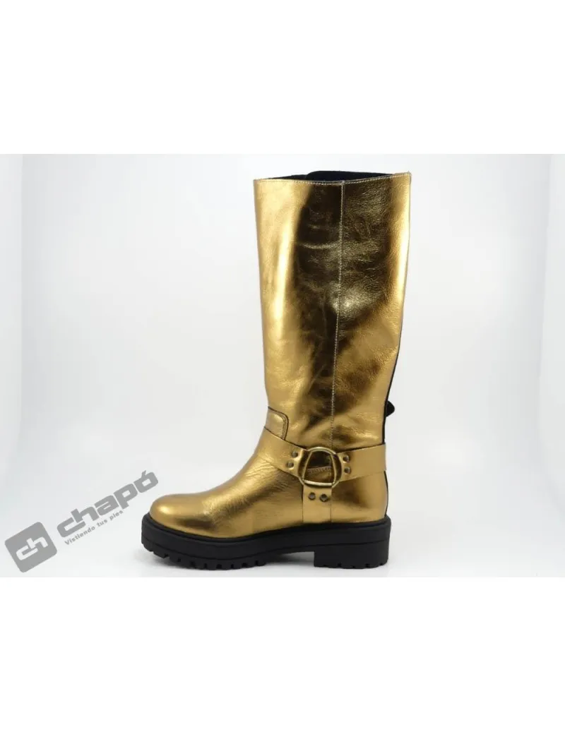 Botas Oro  Motera