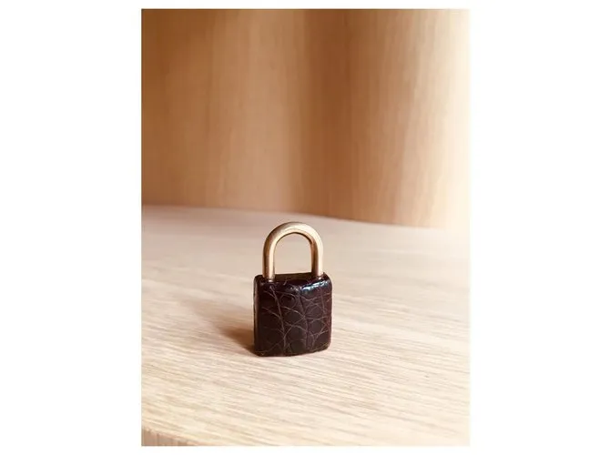 Hermès Cerradura de cocodrilo Hermos porosus y campana para Birkin o Kelly Marrón oscuro 