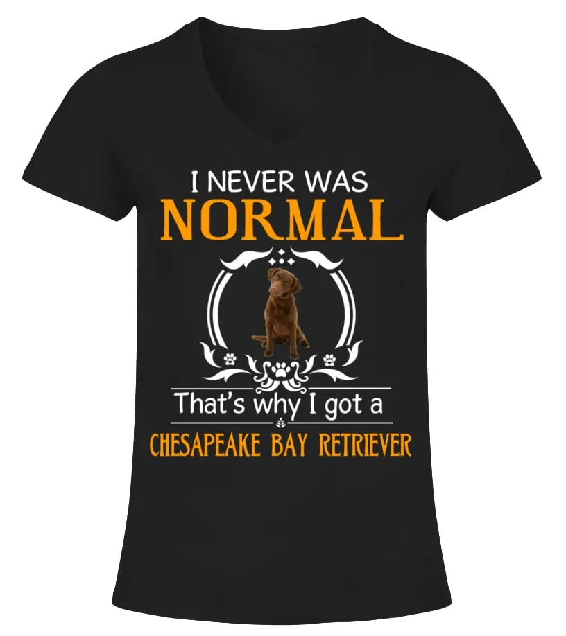 I never was normal that's why I got a Chesapeake Bay Retriever Camiseta cuello pico Mujer