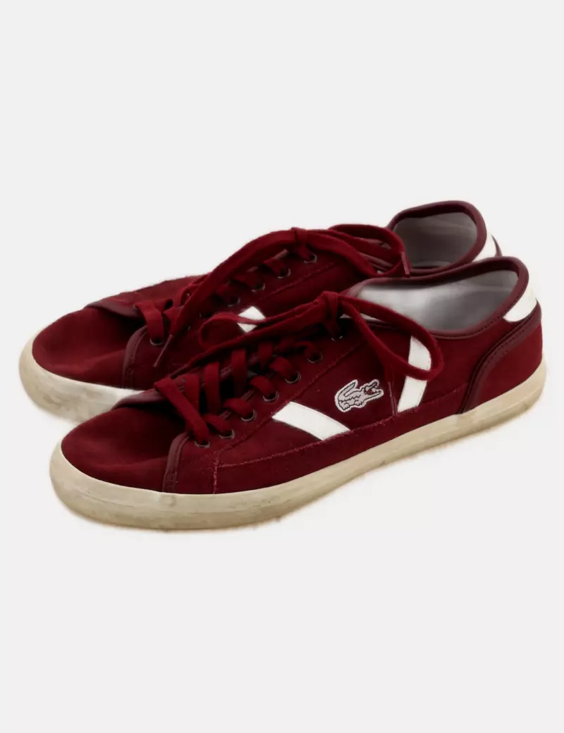 Lacoste Deportivas