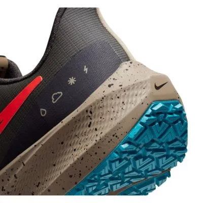 Nike Pegasus 39 Shield