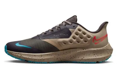 Nike Pegasus 39 Shield