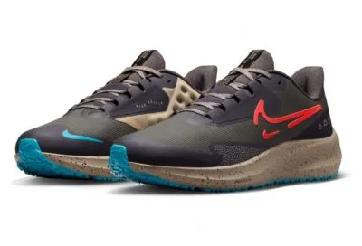 Nike Pegasus 39 Shield