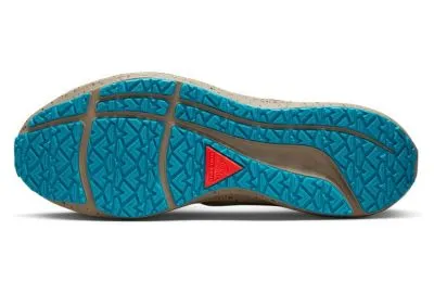 Nike Pegasus 39 Shield