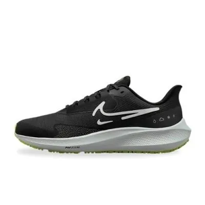 Nike Pegasus 39 Shield